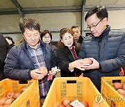 사과 선별·유통 현황 점검하는 최상목 부총리