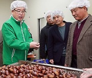 산림청, 공주 밤 가공업체 찾아 소통