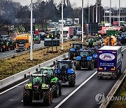 NETHERLANDS FARMERS PROTEST