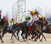 마사회, 2월 경마시행계획 발표...설은 3일 간 휴장 돌입