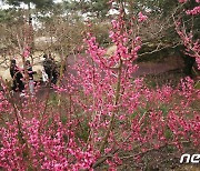 [오늘의 날씨] 제주(3일, 토)…가끔 비, 낮 최고 13도