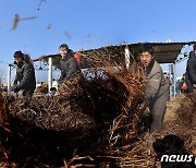 北, 1월 경제발전 성과 '초과 달성' 강조…지방발전도 주력[데일리 북한]