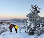 눈꽃 터널 아래 구름바다 황홀경... '겨울왕국' 노고단 [박준규의 기차여행, 버스여행]