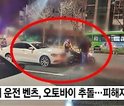 “강아지만 안고 있었다”…강남서 음주운전 벤츠女 ‘사망사고’ 냈는데도