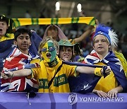 Qatar Australia South Korea Asian Cup Soccer