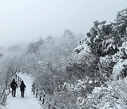 눈꽃 활짝 핀 태백산