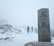 눈꽃 핀 태백산 천제단