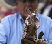 Armadillo Day Texas