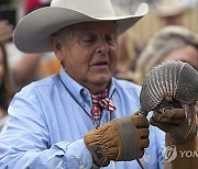 Armadillo Day Texas