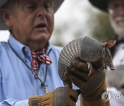 Armadillo Day Texas