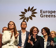 FRANCE EUROPE GREEN PARTY