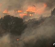 [포토] 산불에 휩싸인 칠레 비나 델 마르 지역