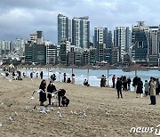 부산 광안리, 바다 찾은 이들로 '북적'…반바지 입은 시민도 포착