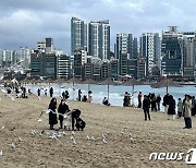 포근한 '입춘'…반바지 바다 산책에 명산도 북적(전국종합)