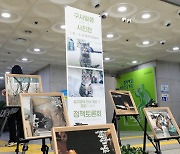 길에서 태어났지만 우리 이웃…길고양이에 진심, 대구 달서구