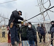 경산시, “경산 복숭아 품질 고급화 나서” 