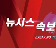 [속보]'사천 논란' 여 김경율 비대위원, 마포을 불출마