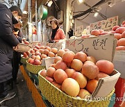 설 앞두고 급등한 사과 가격