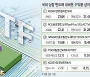 "올해 AI반도체 뜬다는데"…내 성향 ETF는