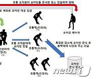 '프랑스 코카인 밀수' 일당 7명 재판행…총책은 못 잡아