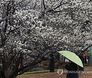 [날씨] 전국 대부분 지역에 비 또는 눈…아침 -5∼4도 추워져