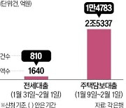 전세대출 갈아타기도 열풍…5대 은행 이틀간 1640억원