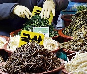 [포토에세이] 싱싱한 국산 산채 담아가세요