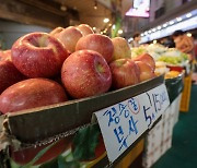 농식품부, 설 성수품 역대 최대 할인 지원…물가 안정 기대