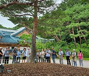 강연과 다례 즐기고, 달력도 받고…설 연휴 청와대 문화행사