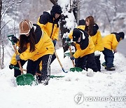 입춘인데···강원도엔 30㎝ 폭설로  교통사고 속출