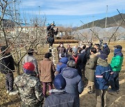 청도군, 청도반시 수고낮추기 지원사업 실시