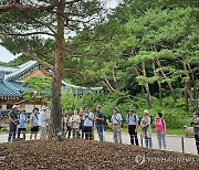 "이야기 콘서트 보고 달력 받으세요"…설연휴 청와대 문화행사