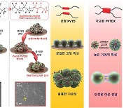 부경대·부산대 연구팀, 고성능 실리콘 음극 전지 개발