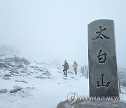 태백산 눈축제 58만5천명 방문…함박눈 때맞춰 '펑펑'