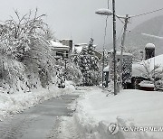 속초에 내린 많은 눈