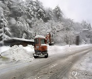 제설작업 바쁜 속초