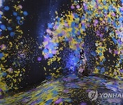 JAPAN TEAMLAB ART