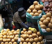 서울 설 차례상 준비 ‘전통시장이 더 저렴’