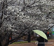 [날씨] 전국 흐리고 곳곳 비·눈…아침 -5∼4도 추워져