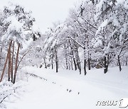 설악산은 겨울왕국