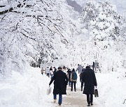 설악산 눈꽃 구경