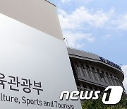 "K-컬처 국제교류 지원 강화"…문체부 '국제문화홍보정책실' 신설