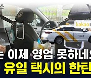 승객들 호평 자자하던 '뷰티 택시'...카카오, 운영 중단 통보 [지금이뉴스]