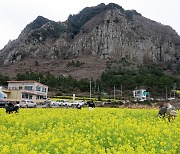 설연휴 관광객 19만명, 제주 찾는다