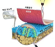 전기차 배터리 화재 위험성 낮추고 성능 높인다…전고체 배터리 양산 기술 확보