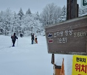 함백산·선자령 등 강원 설산 찾는 관광객 크게 늘었다