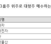 '증시 핵' 떠오른 시총 상위주, '개인 vs. 외인' 엇갈린 행보