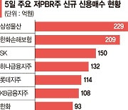 지주사·보험주로 몰리는 '빚투'