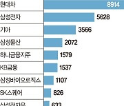 삼성전자 사모으는 외국인… 개인은 SK하이닉스 집중