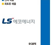 LS에코에너지 희토류 사업 본격화… 글로벌 공급망 '선점'